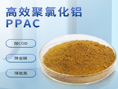 <font color='#333333'>高效聚合氯化铝（PPAC）</font>